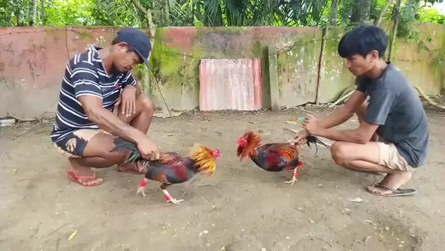 Video from Jade banico's post