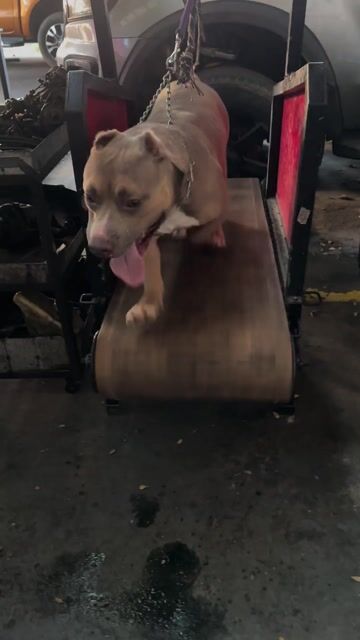 Video from hazel jose's post