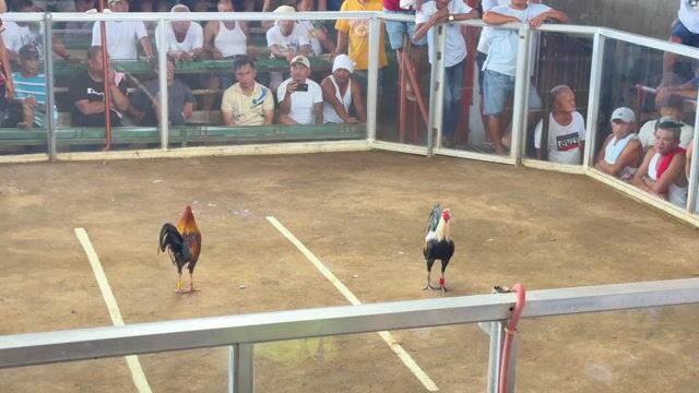 Video from Adrian Soliman's post