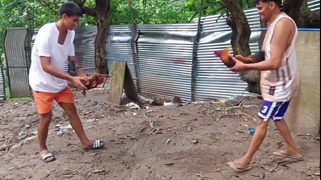 Video from JMC 1S1K Gamefarm's post