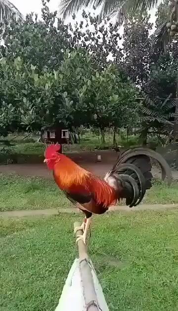 Video from Aubrey Lagradante's post