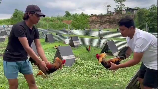 Video from Paul Symon Del Rosario's post