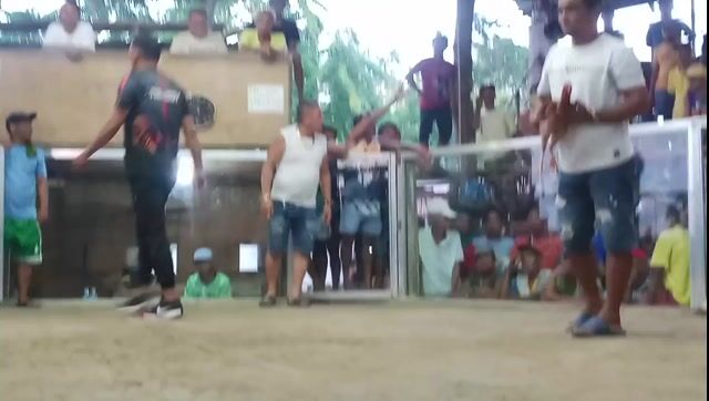 Video from Regie Bornea's post