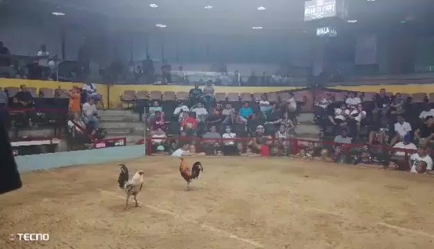 Video from DENZBER QUIWAG PINTOY's post