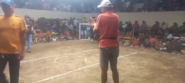 Video from Don F Farm's post