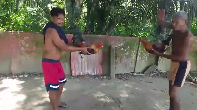Video from Jade banico's post