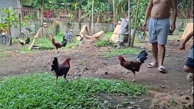 Video from Dan Padayhag's post