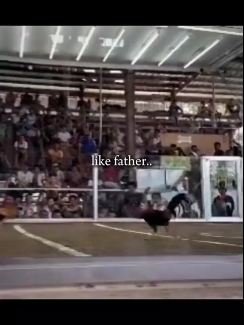 Video from kenneth cumal's post