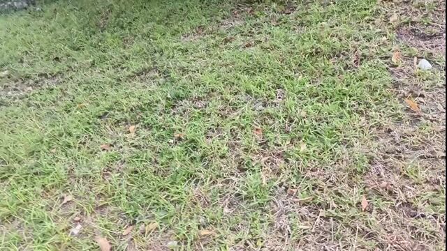 Video from giovanni omega's post
