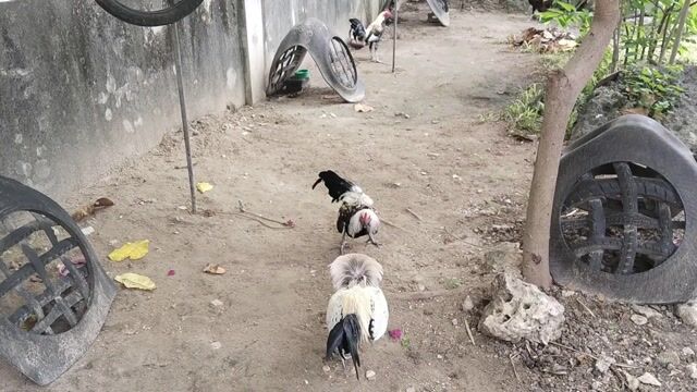 Video from JMI Kanaway's post