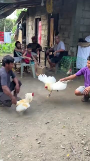 Video from Kaserama's post