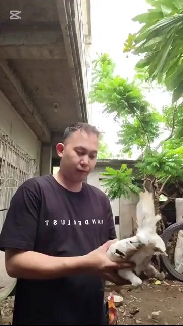 Video from Esuj Altavz's post