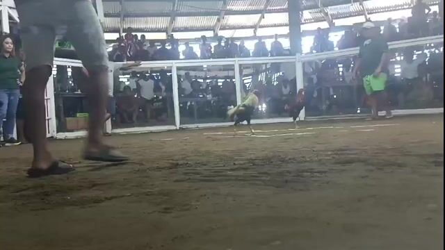 Video from Denver Sadoy's post