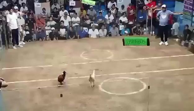Video from Rovelino Perez's post