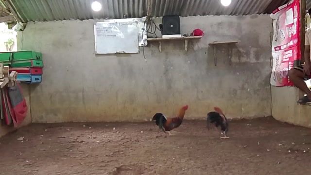 Video from Edward Barrina's post