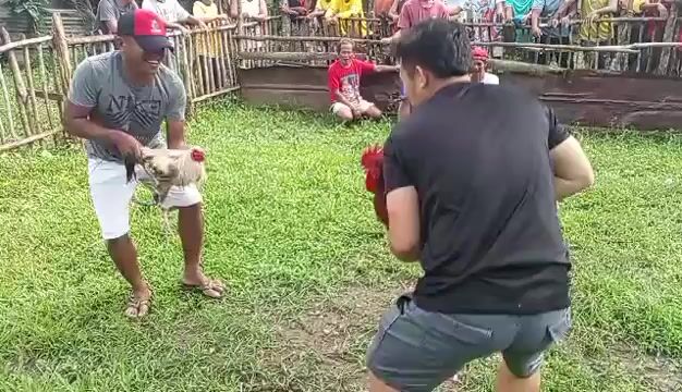 Video from Michael Mahinay Labastida's post