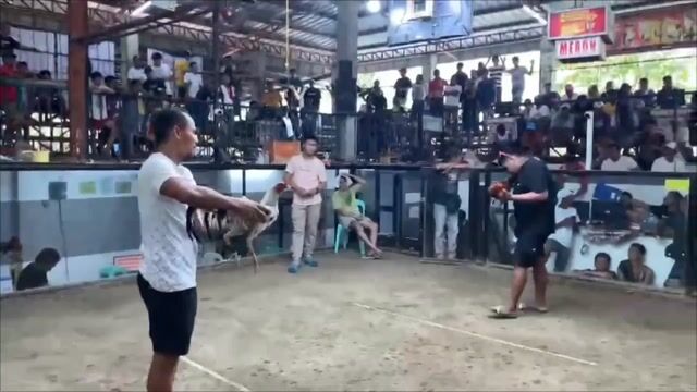 Video from Tanshong BackYards's post