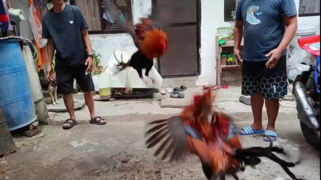 Video from Joseph Christian Diaz's post