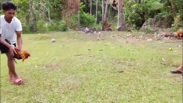 Video from Engr. Ronald Alba's post