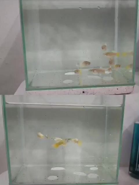 Video from John Ivanne Calatrava's post