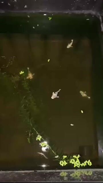 Video from Kierby Nieves's post