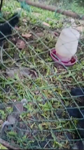 Video from Bryan Kim Sabareza's post