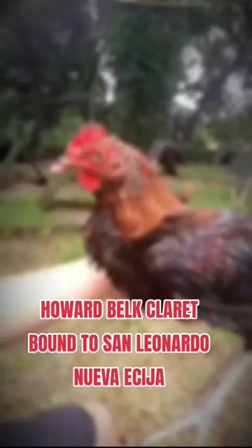 Video from SB.Jco Backyard's post