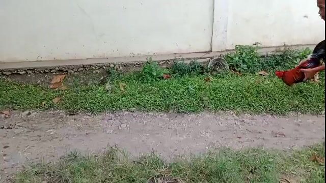 Video from Jhon Homphrey Maranga's post