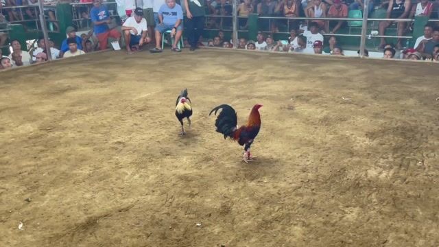 Video from Robie Quebada's post