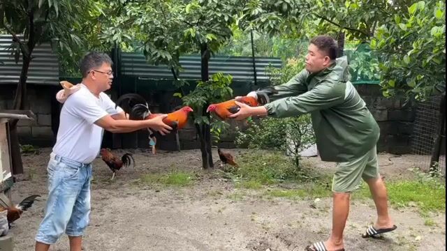 Video from The Eleven's post