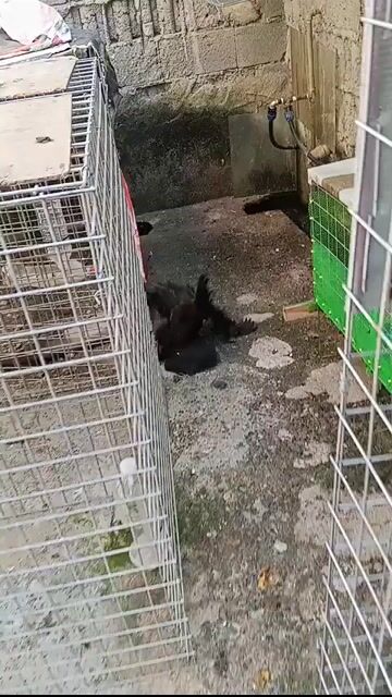 Video from Dom Salomon's post