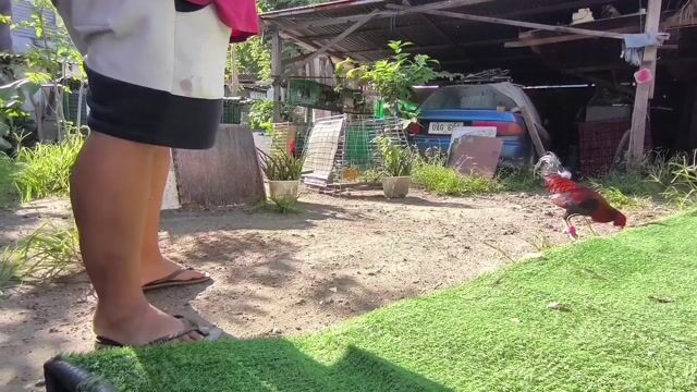 Video from Sid Francisco's post