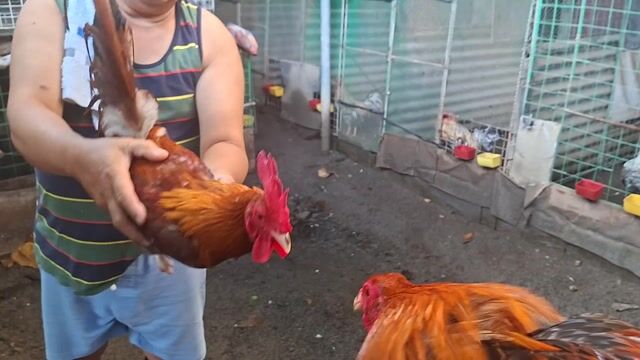 Video from Francis Gene Inson's post