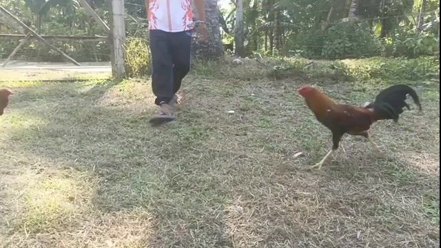Video from JJP GF's post
