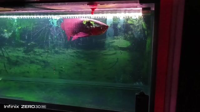 Video from Yuki koga's post