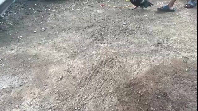 Video from alan solis's post