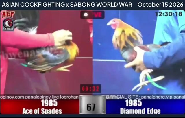 Video from Eight Eight Eight Salpukan Gamefarm's post