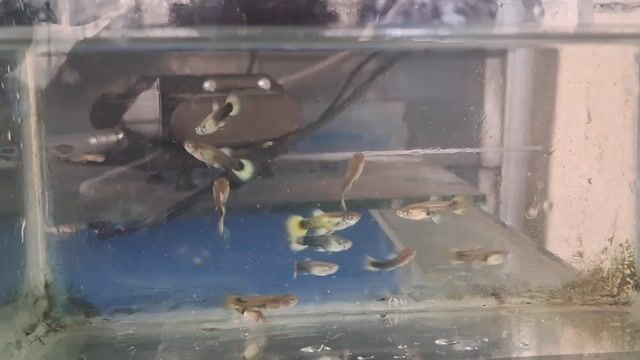 Video from Anel Morales's post