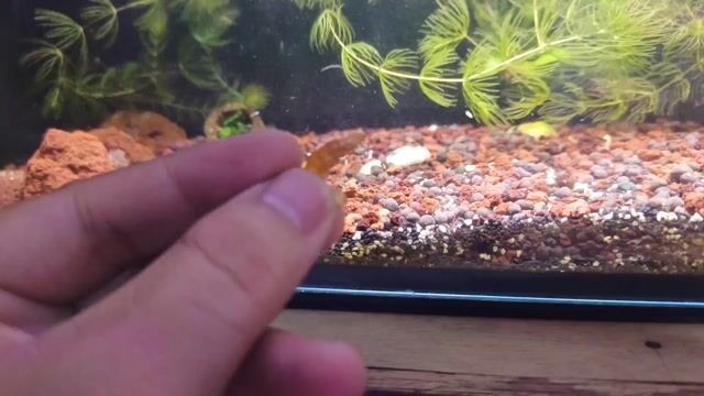Video from Emman Refugio's post