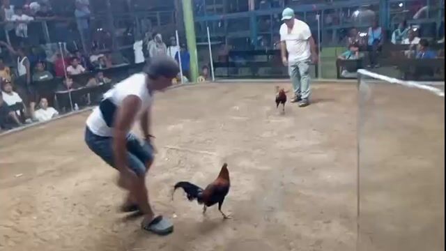 Video from Agaw Makoy Gamefarm's post