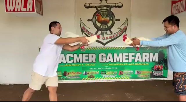 Video from JJ Aya-ay's post