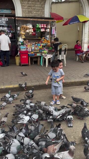 Video from Rachelle Menorca's post