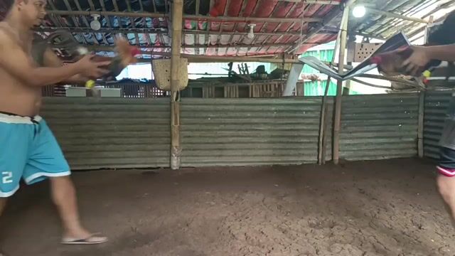 Video from JOROS gamefarm's post