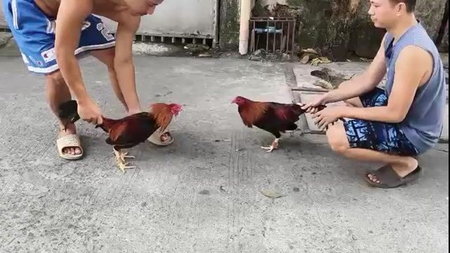 Video from RoofTop Warriors's post