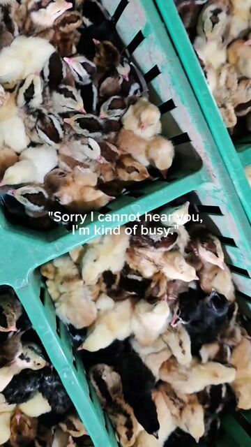 Video from Doc RJ Ballesteros's post