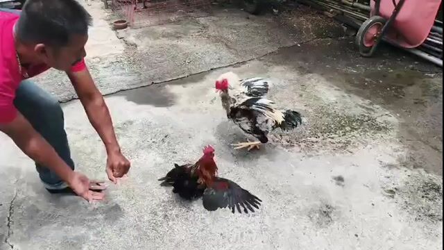Video from BRAVEYARD GF's post