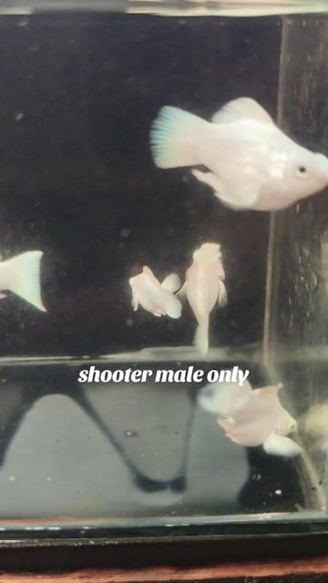 Video from Aqua Nate's post