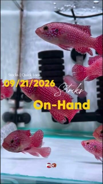 Video from Pish8 Marikina's post