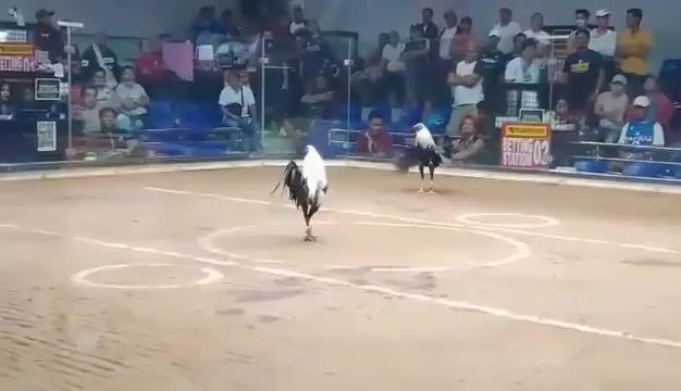Video from Jon De Veyra's post