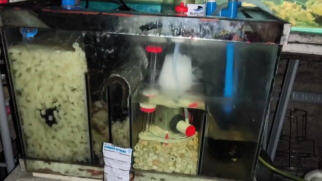 Video from Ailex Sioco's post